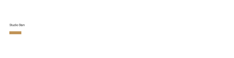Studio Stan logo